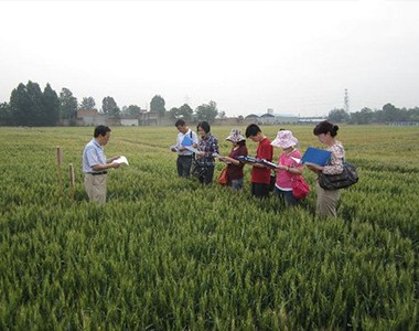 西安(an)：市(shi)農技(ji)中(zhong)心專(zhuan)傢(jia)組到(dao)長(zhang)安(an)區(qu)檢(jian)查