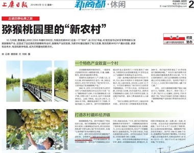 猕猴桃園裏的(de)“新(xin)農村”