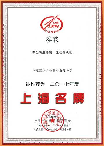 上海名(míng)牌